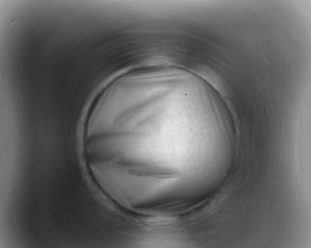 X0000088921008200706151921