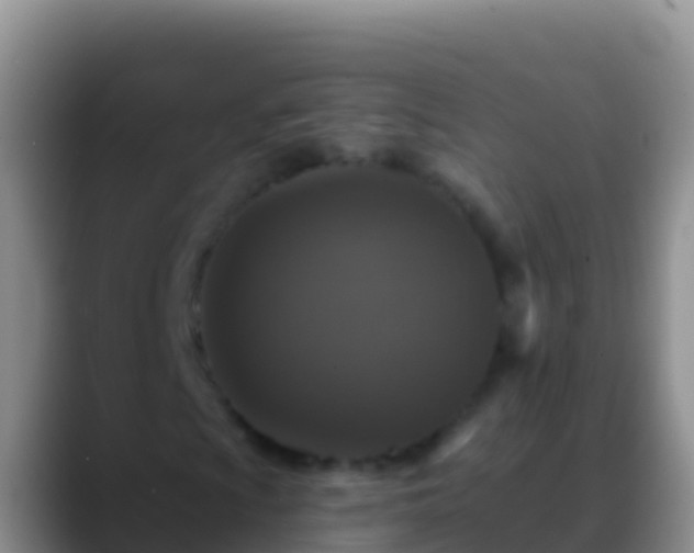 X0000088921009200706151920