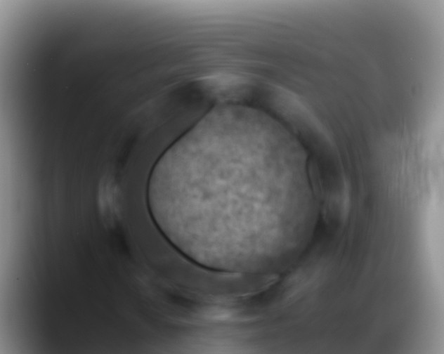 X0000088921010200706151920