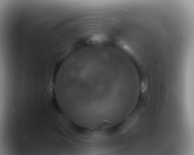 X0000088921011200706151920
