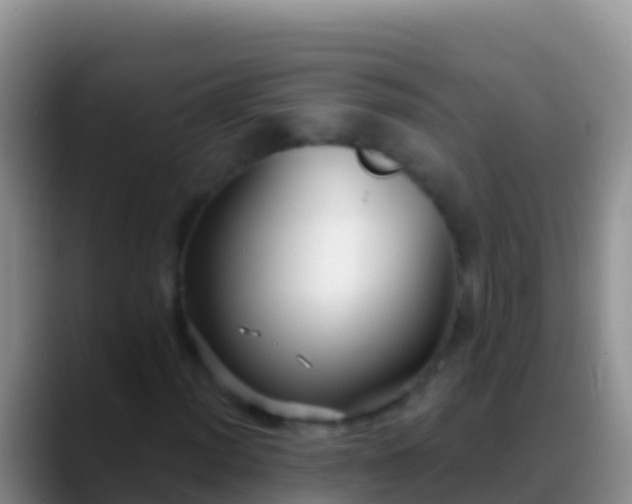 X0000088921012200706151920