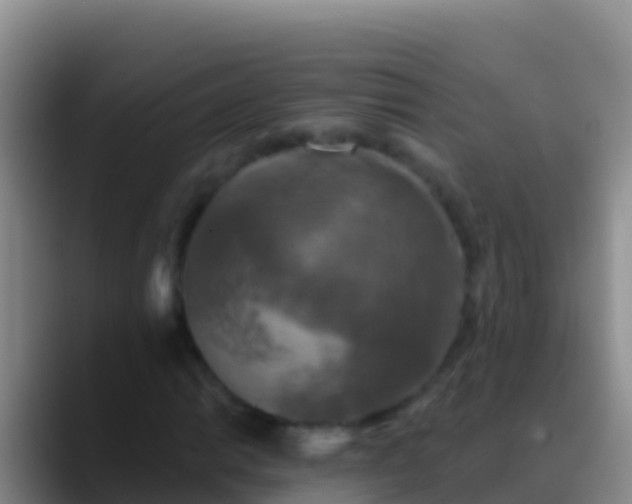 X0000088921014200706151920