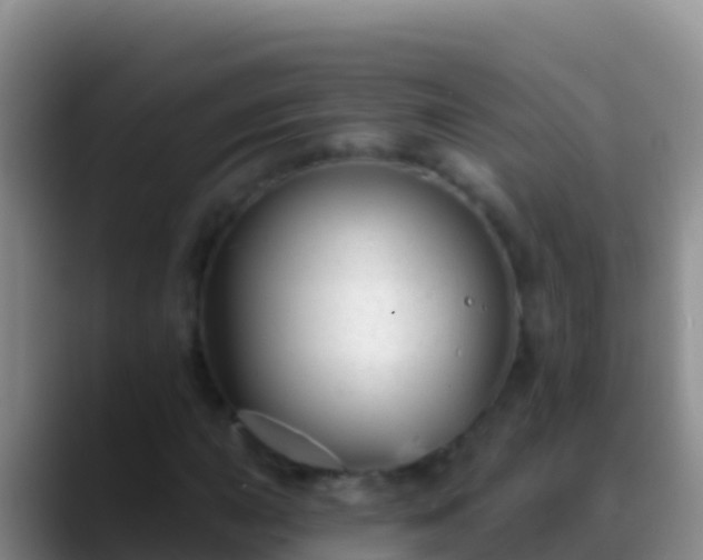 X0000088921015200706151920