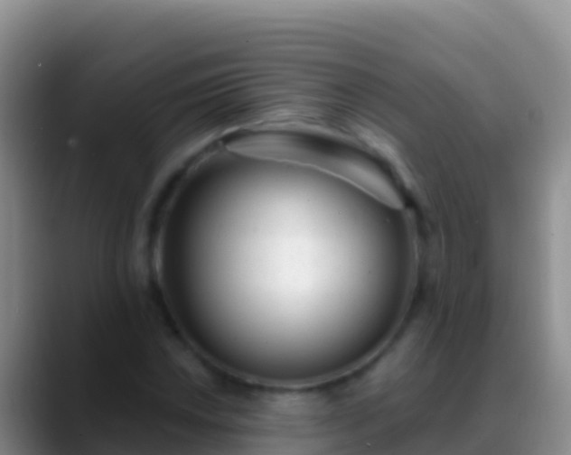X0000088921018200706151920