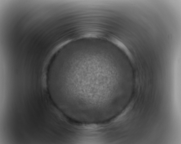 X0000088921019200706151920