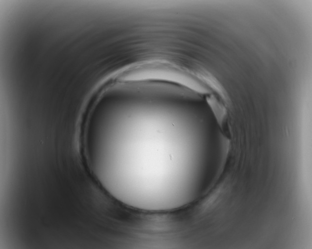 X0000088921020200706151920