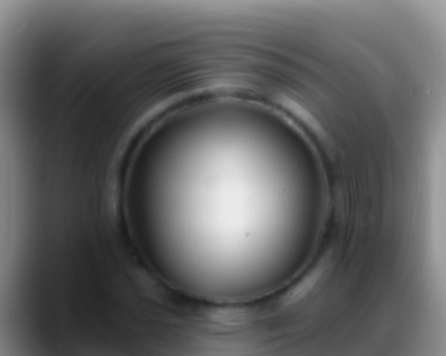 X0000088921021200706151920