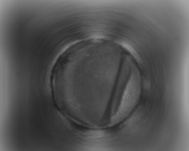 X0000088921023200706151920