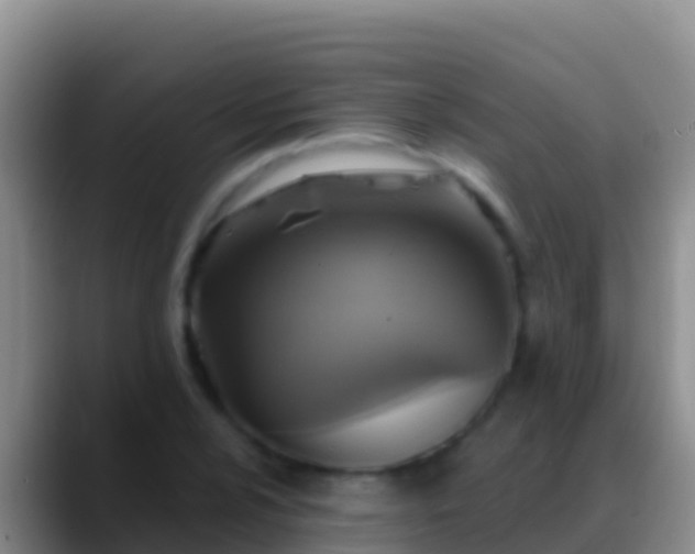 X0000088921024200706151920