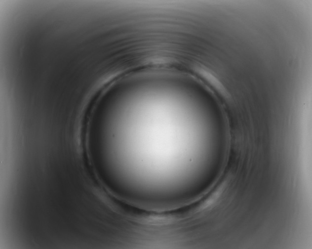 X0000088921026200706151920