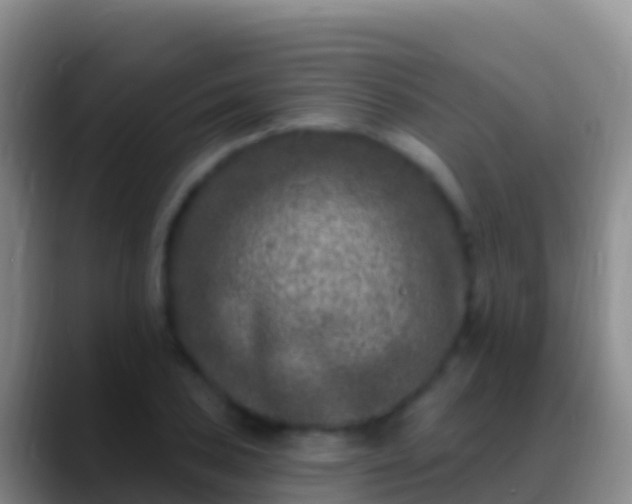 X0000088921027200706151920