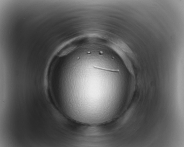 X0000088921028200706151921