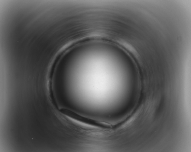 X0000088921029200706151921