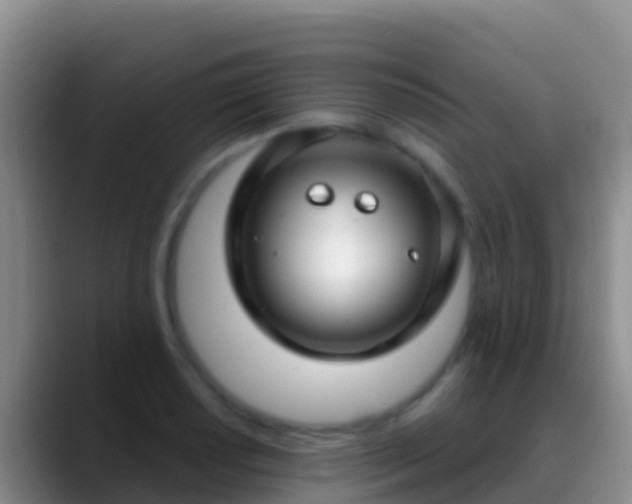 X0000088921034200706151921