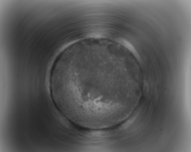 X0000088921035200706151921