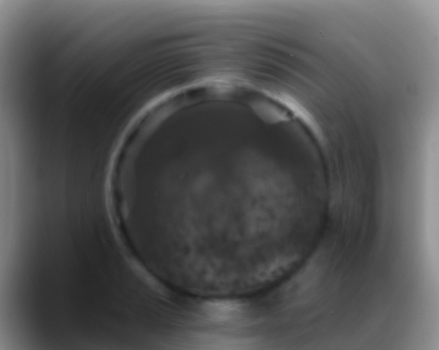 X0000088921037200706151921