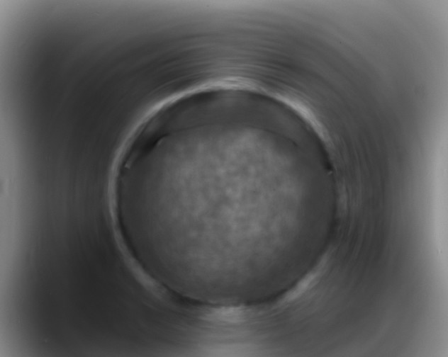 X0000088921038200706151921