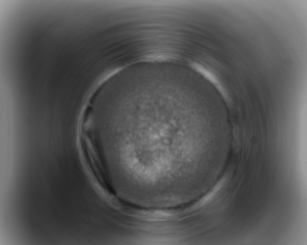 X0000088921042200706151921