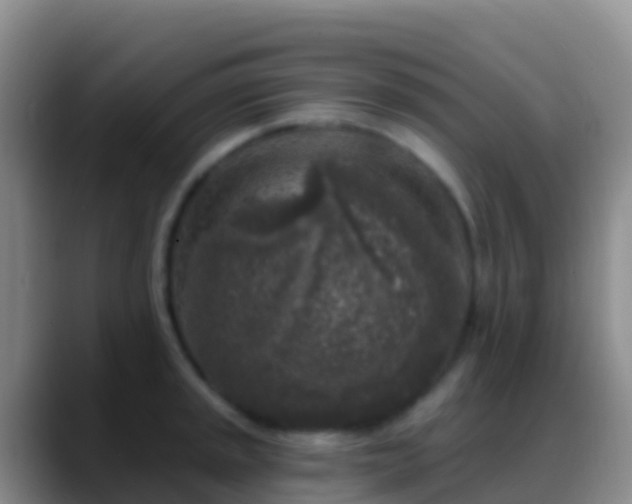 X0000088921045200706151921