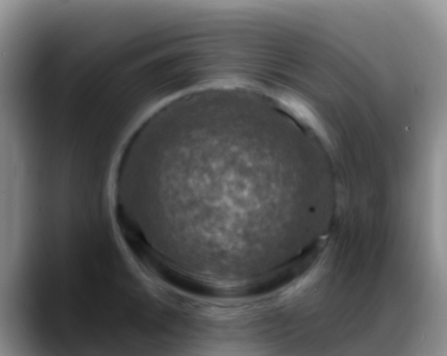 X0000088921046200706151921