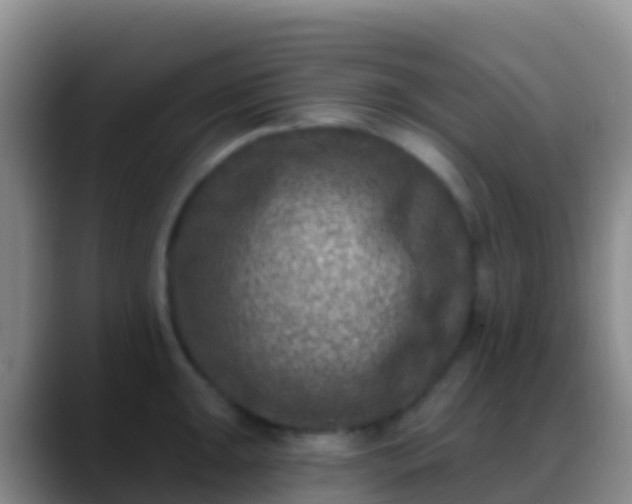 X0000088921047200706151921