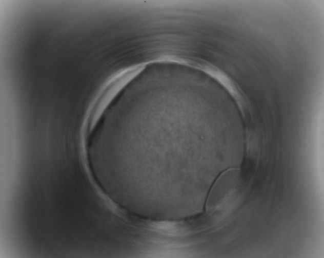 X0000088921048200706151921