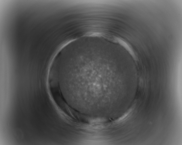 X0000088921050200706151921