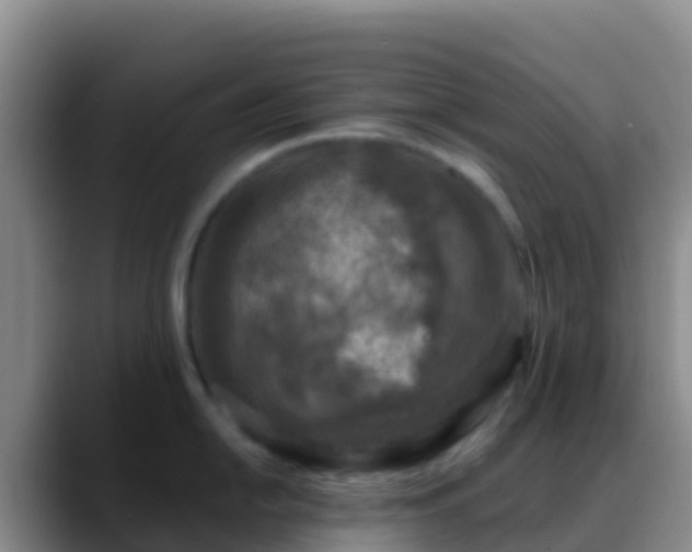 X0000088921054200706151921