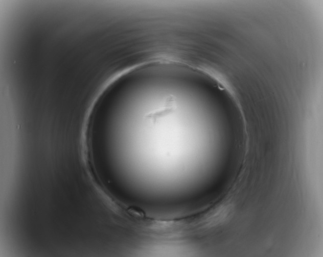 X0000088921056200706151921