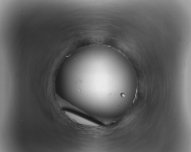 X0000088921057200706151920