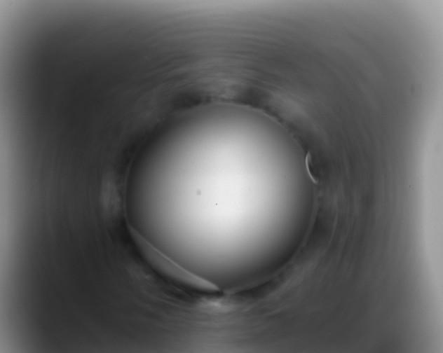 X0000088921058200706151920
