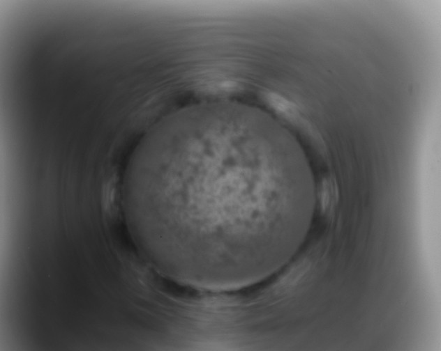 X0000088921059200706151920