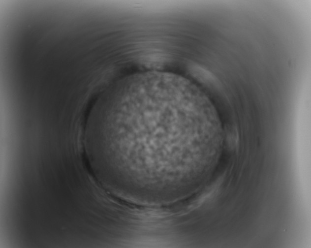 X0000088921060200706151920