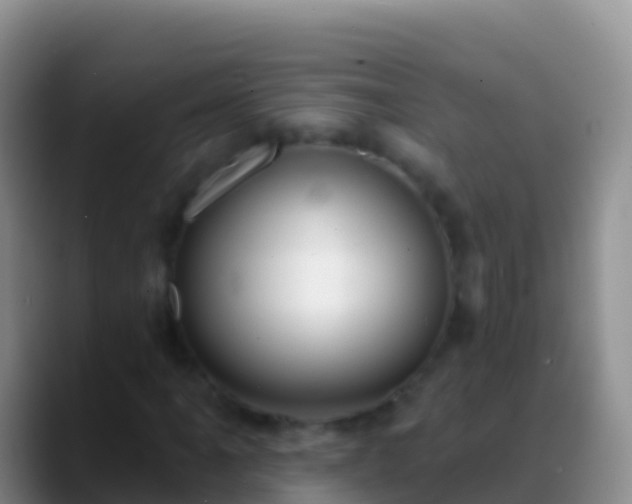 X0000088921061200706151920