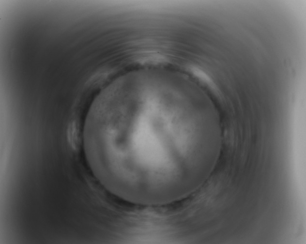 X0000088921063200706151920