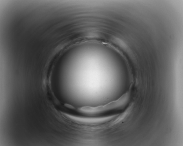X0000088921065200706151920