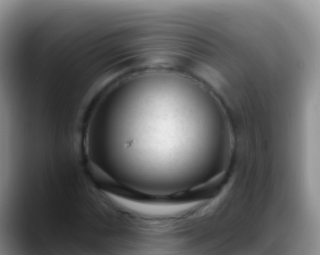 X0000088921066200706151920