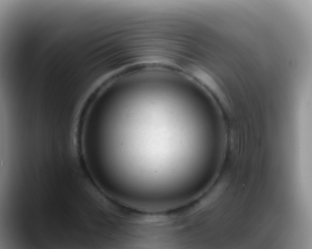 X0000088921068200706151920