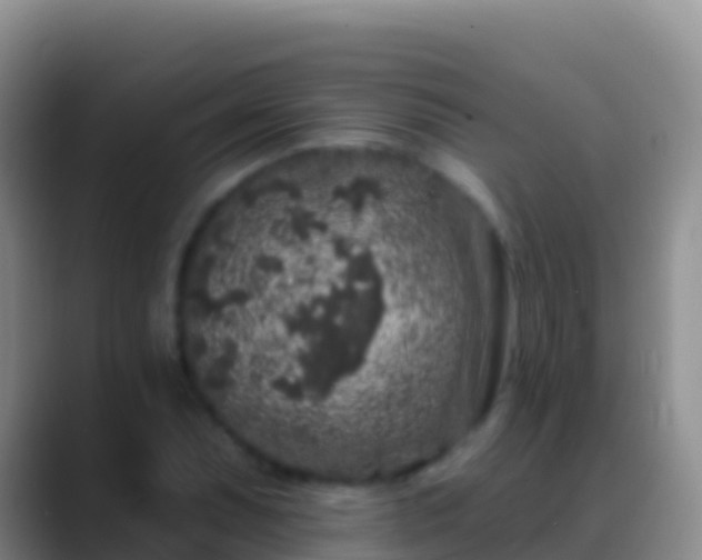 X0000088921071200706151920