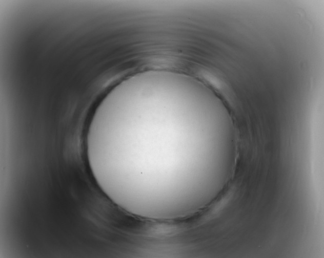 X0000088921074200706151920