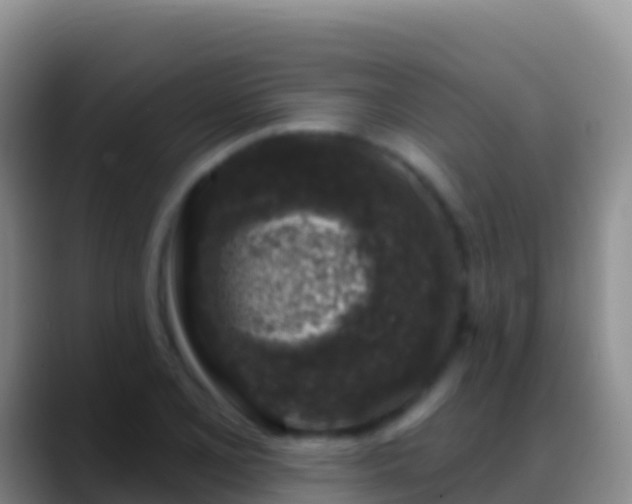 X0000088921077200706151920