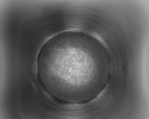 X0000088921079200706151920