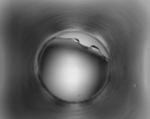 X0000088921080200706151920