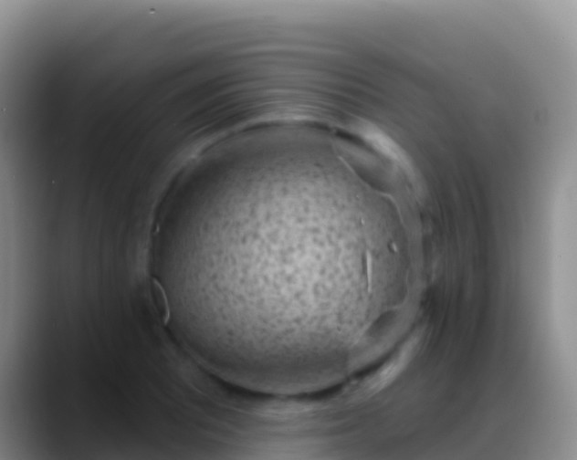 X0000088921081200706151920