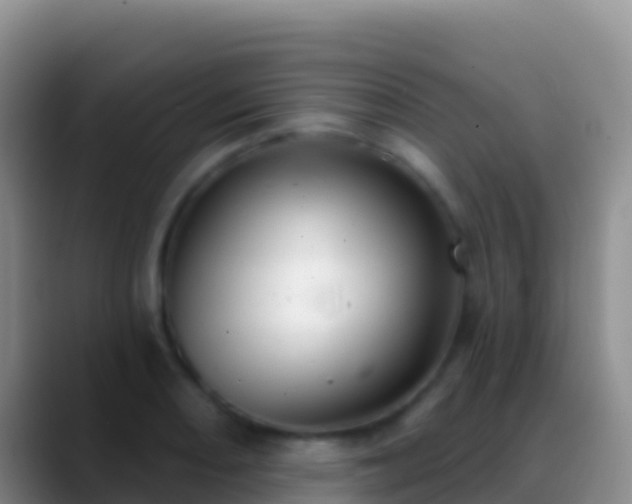 X0000088921082200706151920