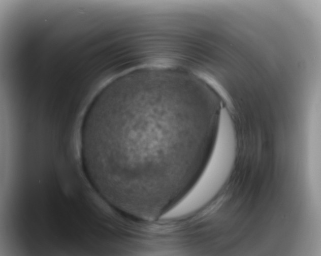 X0000088921083200706151920