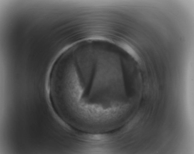 X0000088921084200706151920