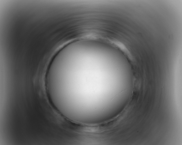 X0000088921086200706151920