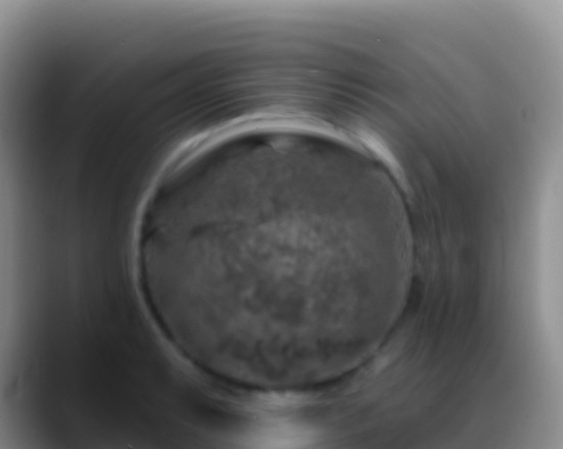 X0000088921087200706151920