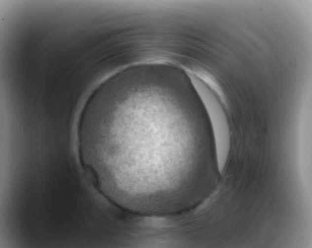 X0000088921088200706151920